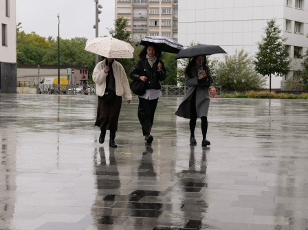 Bien à l'abri, cachées sous leurs parapluies.