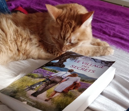 IMG_20191007_172841~2.jpg, oct. 2019