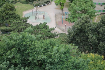 27703076943_f30dc0aa82_z.jpg, nov. 2016 27703076943_f30dc0aa82_z.jpg