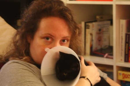 30427195764_25639a93c4_z.jpg, nov. 2016 30427195764_25639a93c4_z.jpg