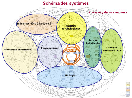 Causes multifactorielles de l'obésité.