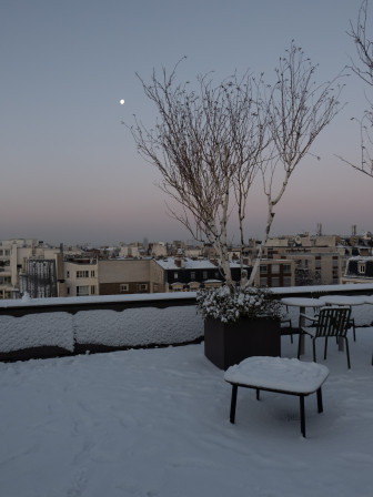 Un arbre sur le toit du bureau, un jour de neige.