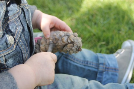 Fixateur.jpg, avr. 2016 Fixateur.jpg