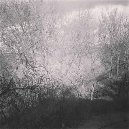 Halage.jpg, fév. 2018 Halage.jpg