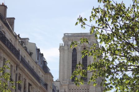 Printemps aux Rameaux