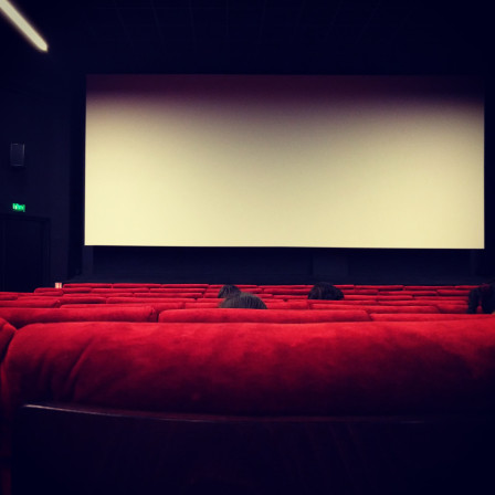 Une salle de cinéma : des fauteuils rouges, un écran blanc, le haut de têtes dépassent de quelques sièges.