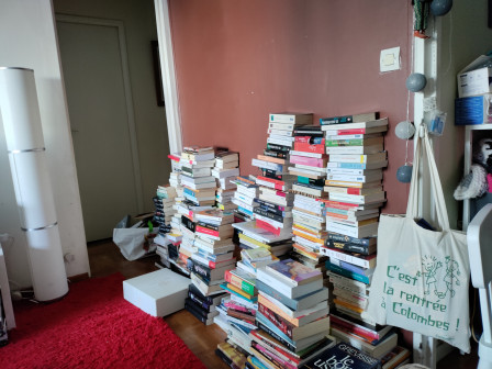 Le jour de 2021 où j'ai trié des livres.