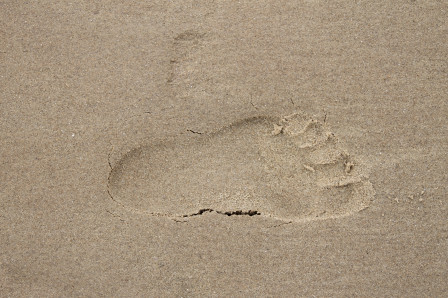 L'empreinte de mon pied gauche dans le sable mouillé (un 11 juillet à Calais, si tu veux tout savoir).