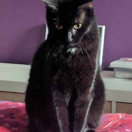 Maïa fait la gueule.jpg