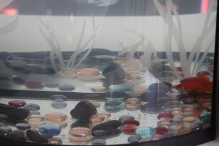 Mai 2013 Oscar, mai 2013 Mai 2013 Oscar