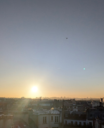 Lever de soleil sur les toits de Paris, un oiseau joue dans le ciel.