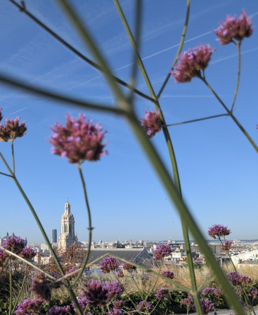 L'église de la Trinité à Paris vue à travers des fleurs que mon frère aime bien.