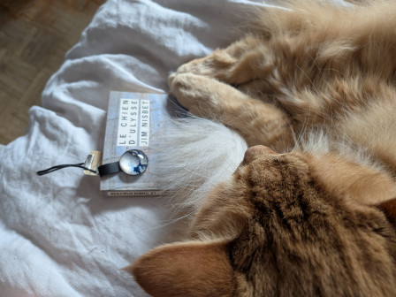 Mon chat roux, ObiWan, tranquillement installé, patte posée dessus, sur le livre "Le chien d'Ulysse" de Jim Nisbet.