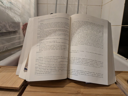 "La punition" d'Arthur Dreyfus, en cours de lecture dans mon bain, cet après-midi.