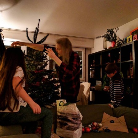 Sapin1.jpg, déc. 2016 Sapin1.jpg