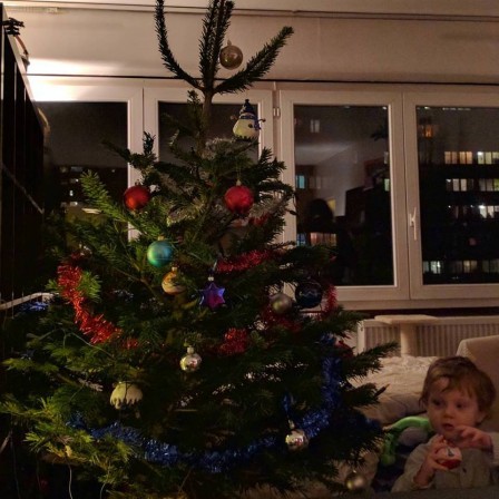 Sapin3.jpg, déc. 2016 Sapin3.jpg