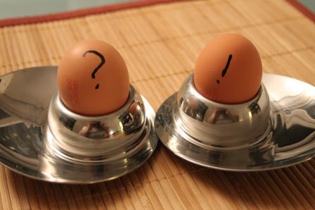 Belligérants petits et gros boutiens