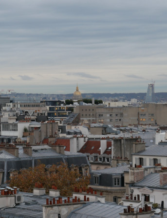 Gammes sur l'exposition : nuances de gris et touches de couleurs sur les toits parisiens un matin de sale temps.